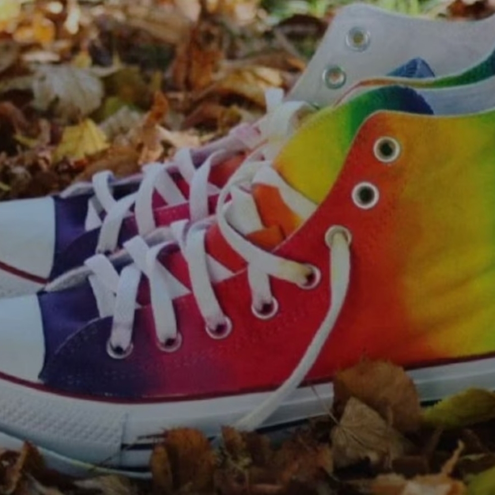 Hand painted Rainbow pride hi-top sneakers